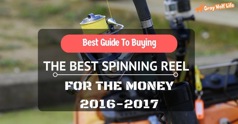 best spinning reel for the money