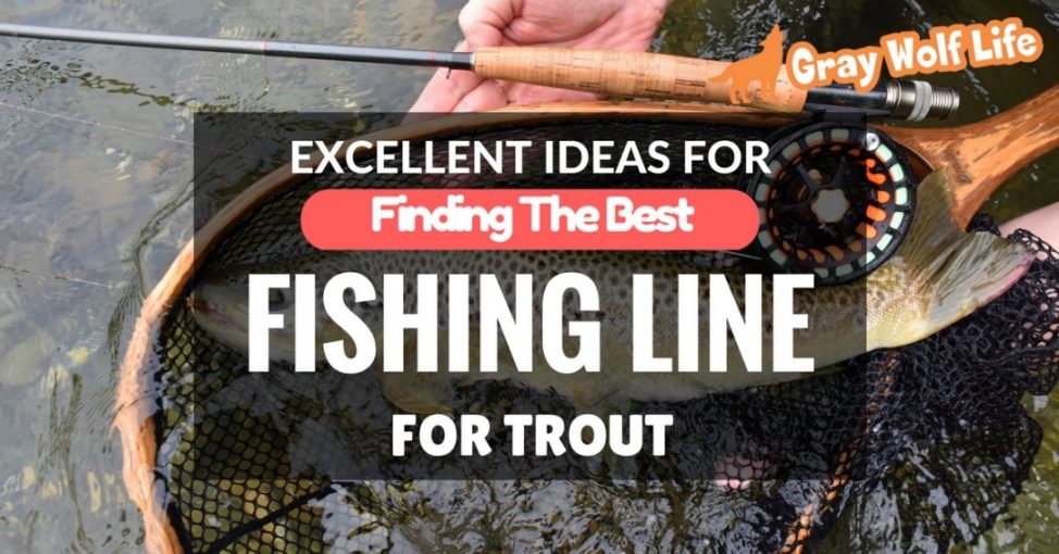 best fishing line for trout