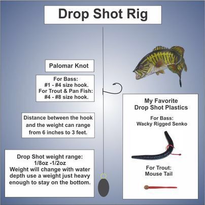 drop shot rig